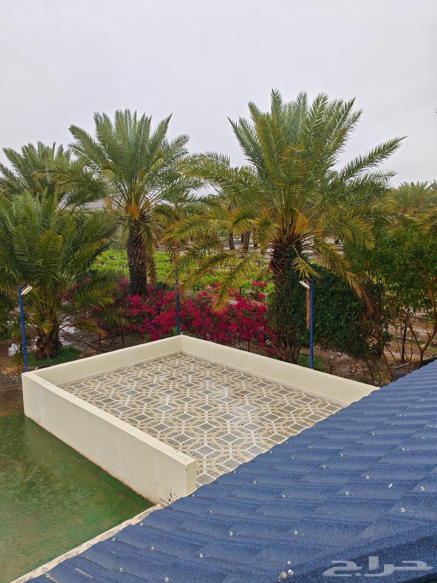 apartment in Al Samer