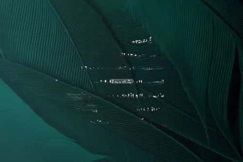 5 bedroom apartment in Al Fayha 1