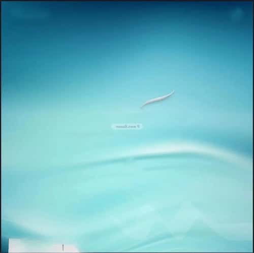 شقة 2 غرف في أبحر الجنوبية 1