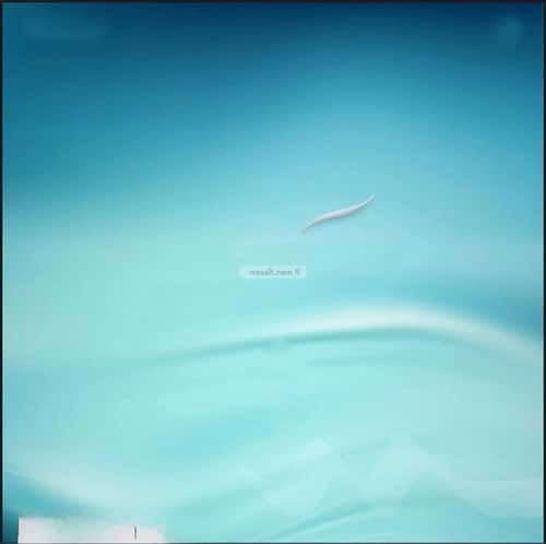 2 bedroom apartment in Abhur South 5