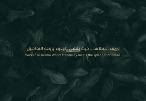 شقة 3 غرف في السلامة 3
