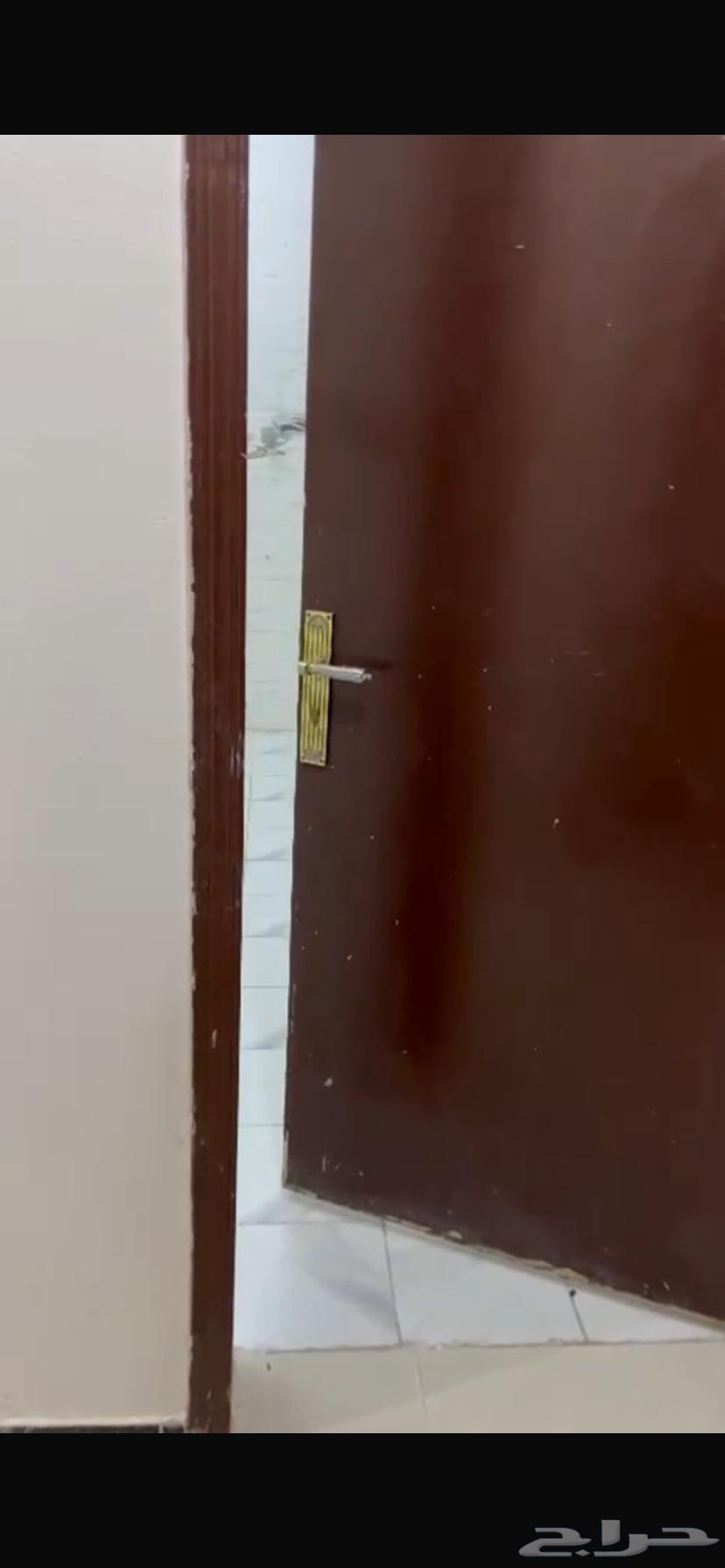 شقة 3 غرف في الرمال 4