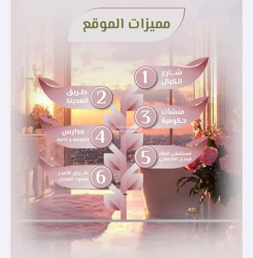 شقة 7 غرف في الروضة 9
