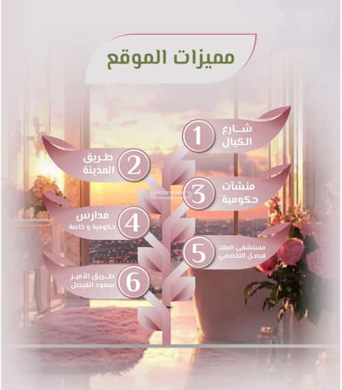 شقة 2 غرف في الروضة 10
