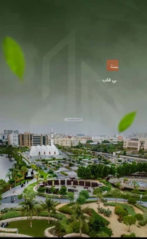 2 bedroom apartment in Al Sharafiyah 4