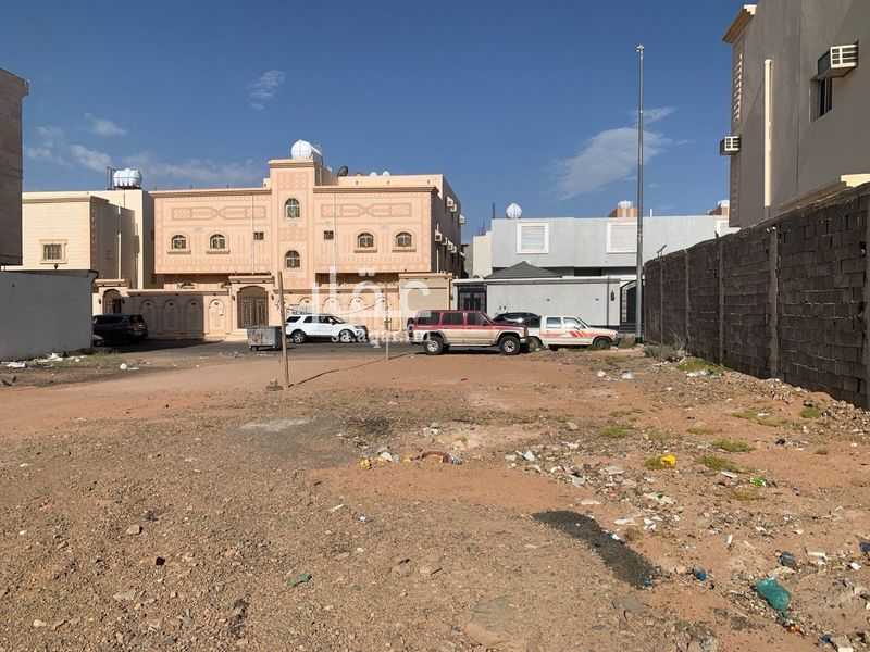 land in Taibah, Madinah 4