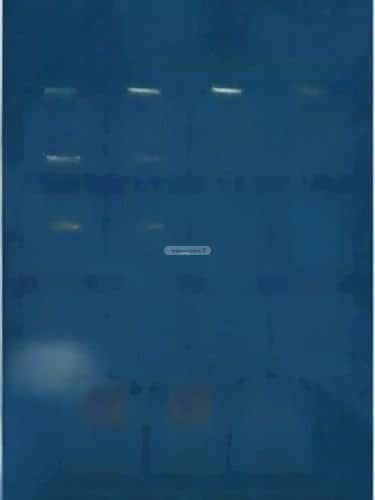 2 bedroom apartment in Al Safaa 3