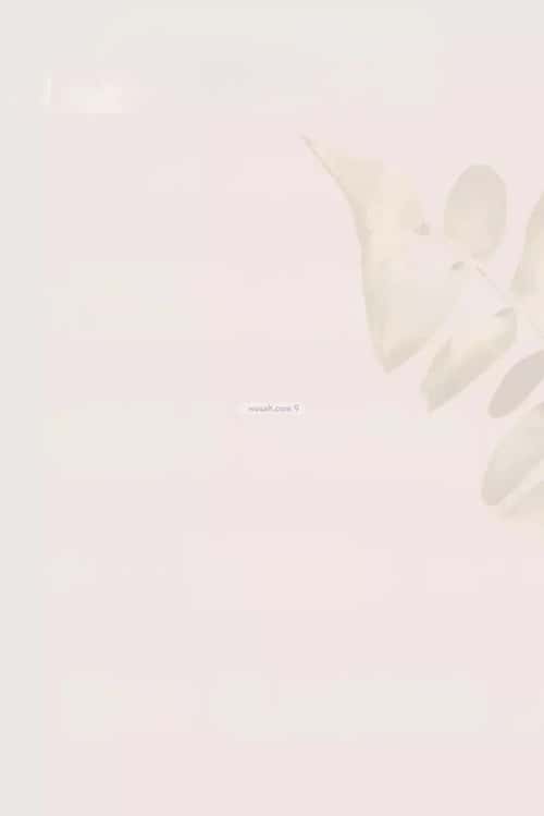 2 bedroom apartment in Al Faisaliyyah 4