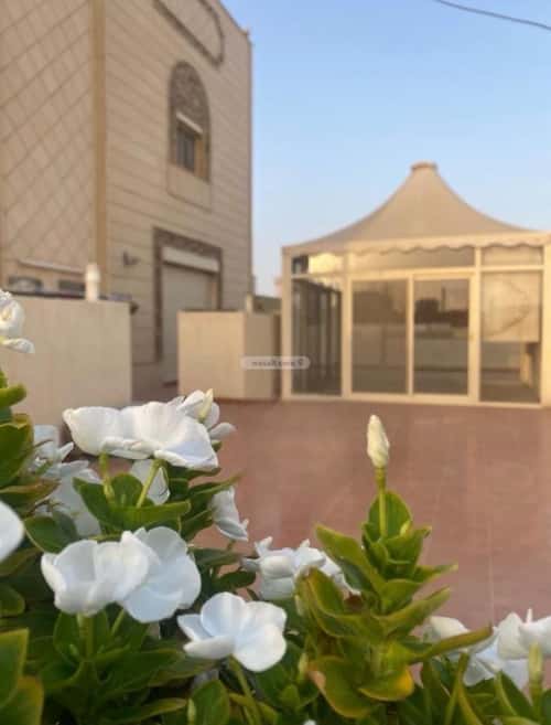 9 bedroom apartment in Al Zahra 2