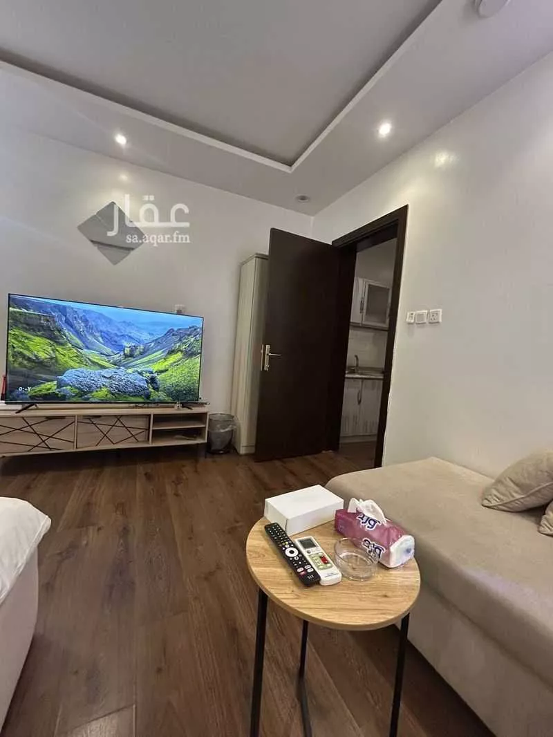 شقة 1 غرف في الربيع 8