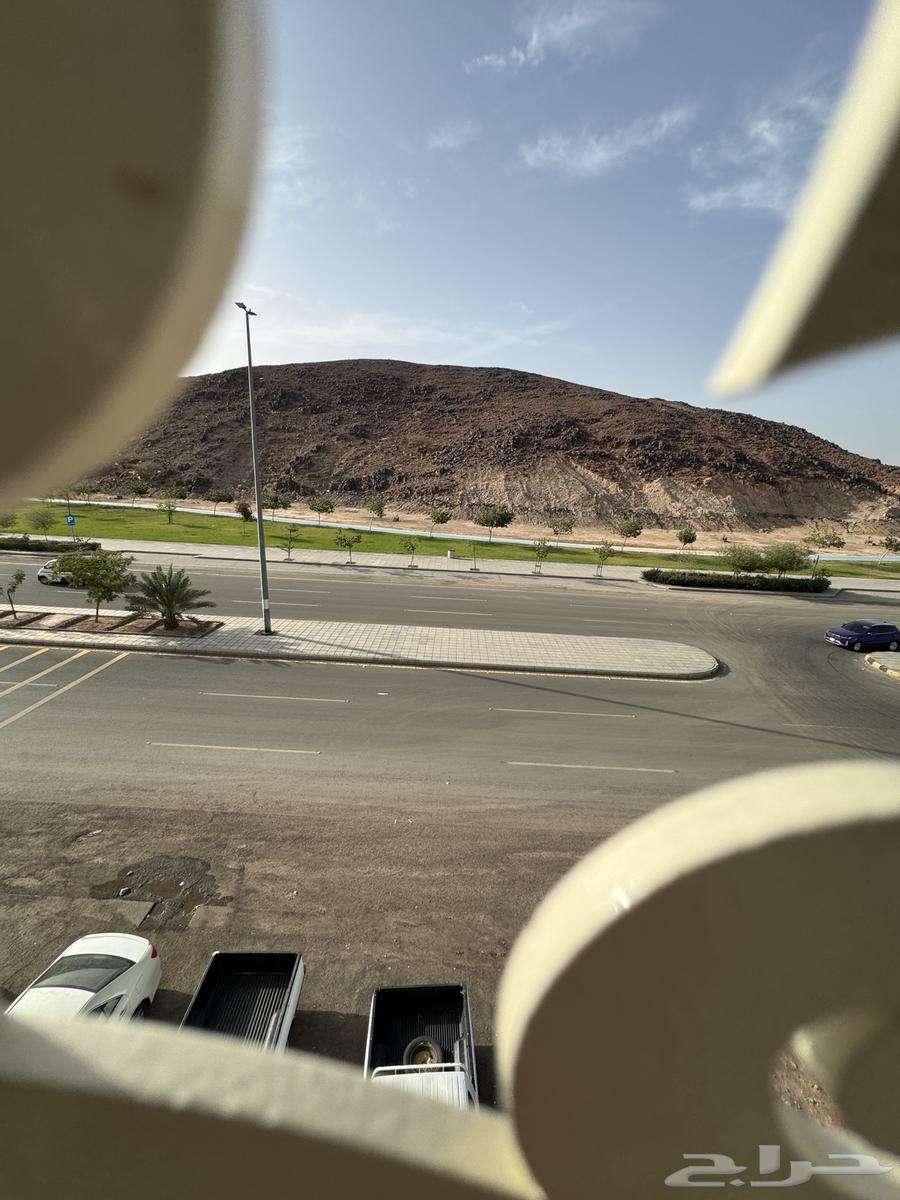 شقة 36 غرف في الملك فهد 5