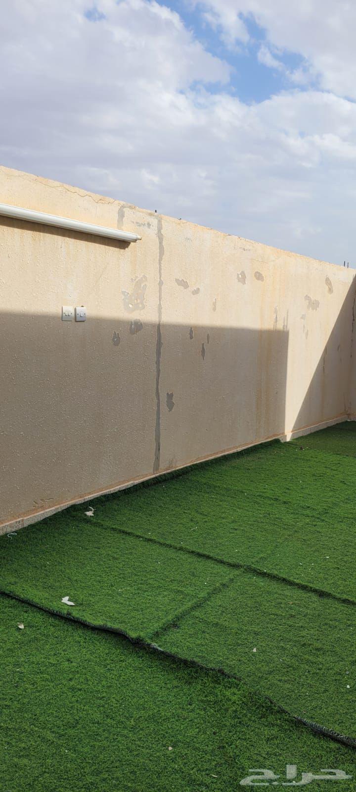 شقة 3 غرف في الجنادرية 7