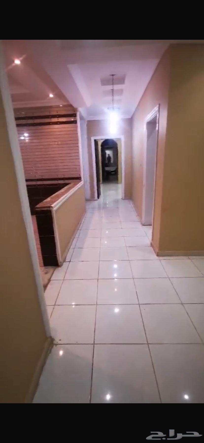 شقة 2 غرف في الريان 11
