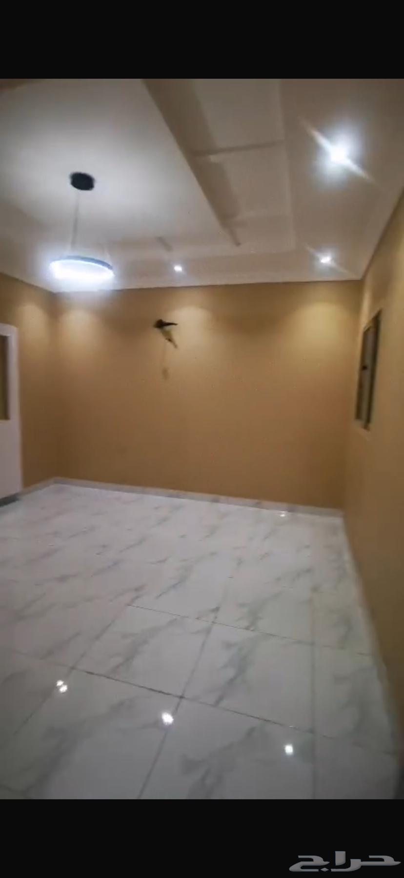 شقة 2 غرف في الريان 8