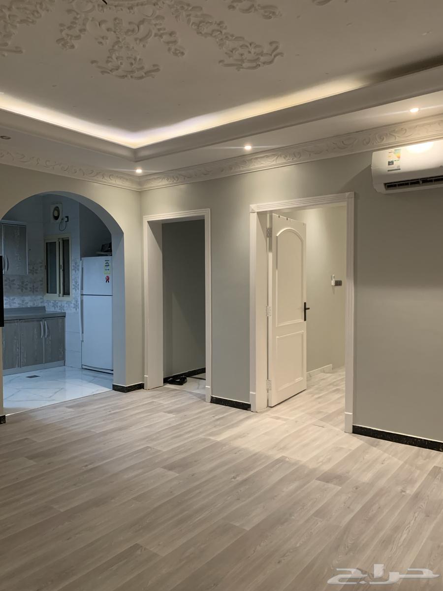 شقة 3 غرف في الجلوية 20