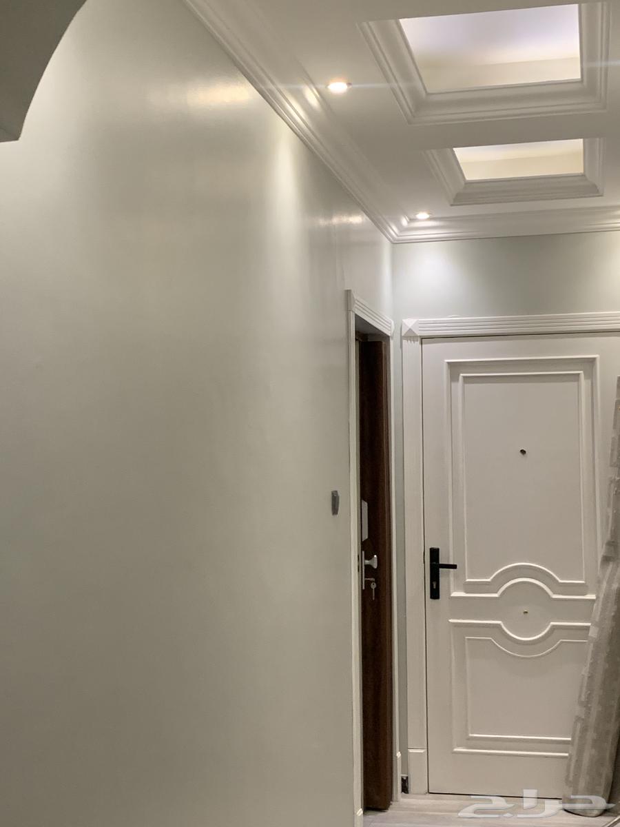 شقة 3 غرف في الجلوية 7