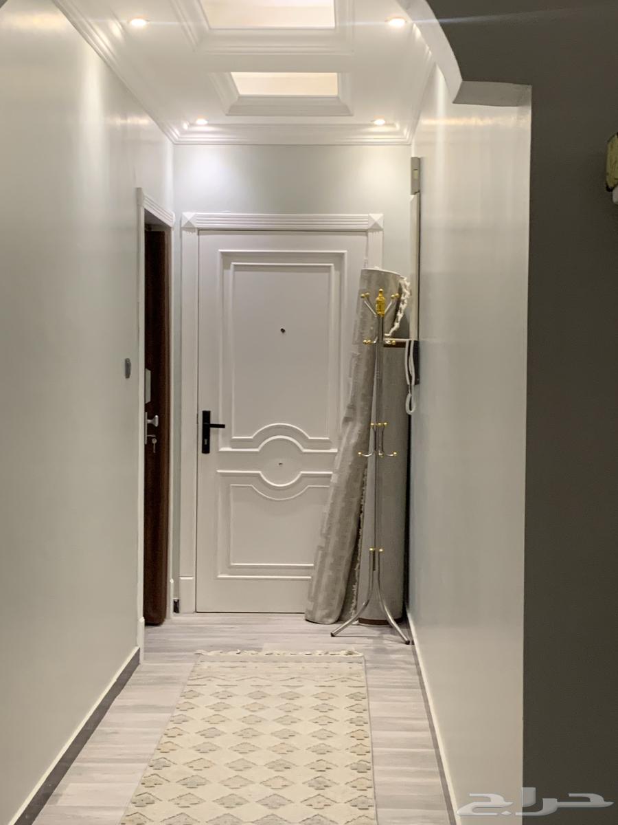 شقة 3 غرف في الجلوية 8