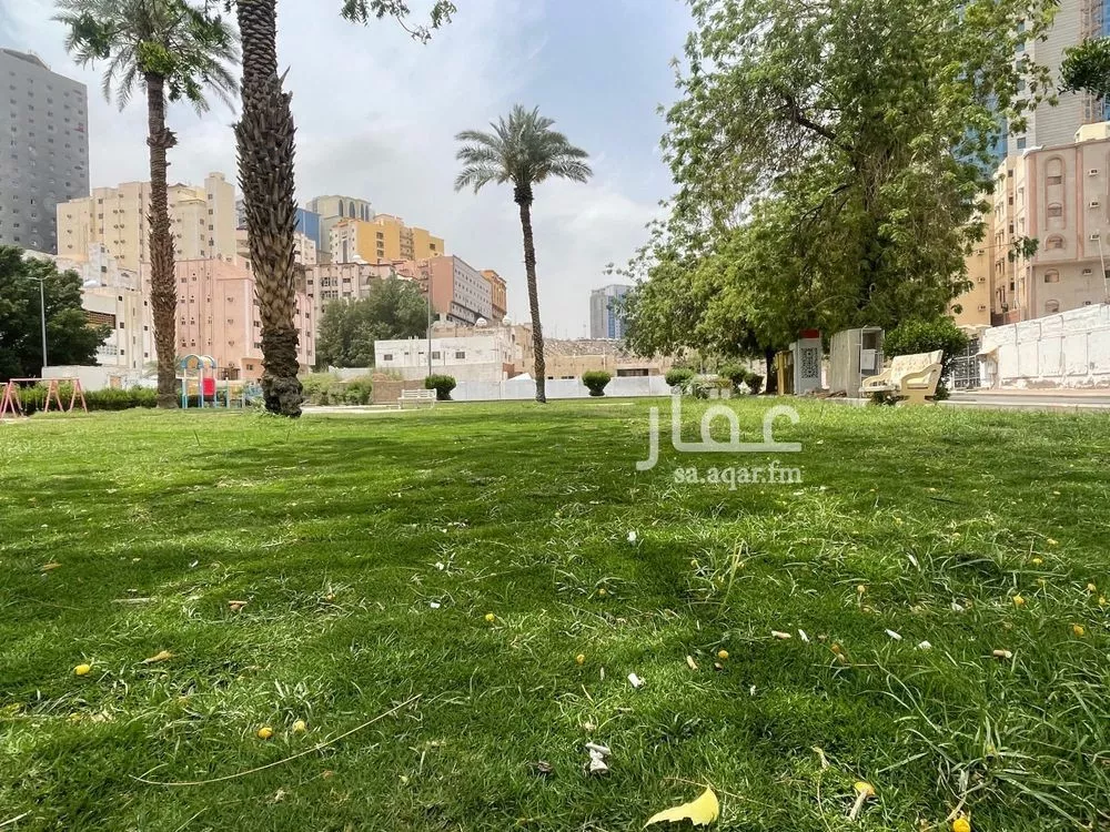 شقة 3 غرف في الجامعة 2