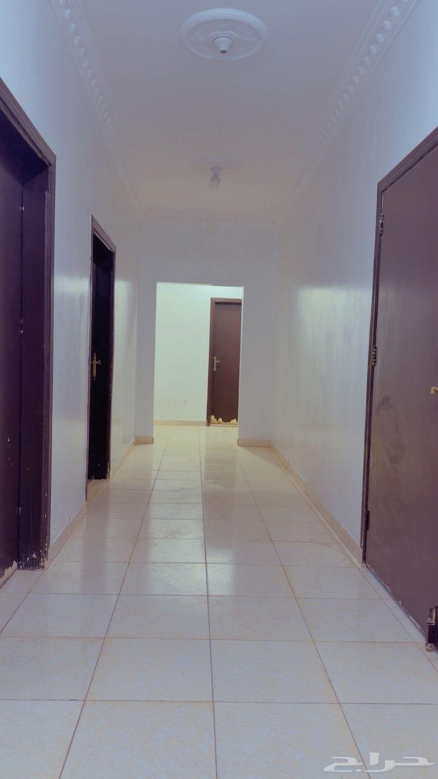 شقة 3 غرف في الرمال 7