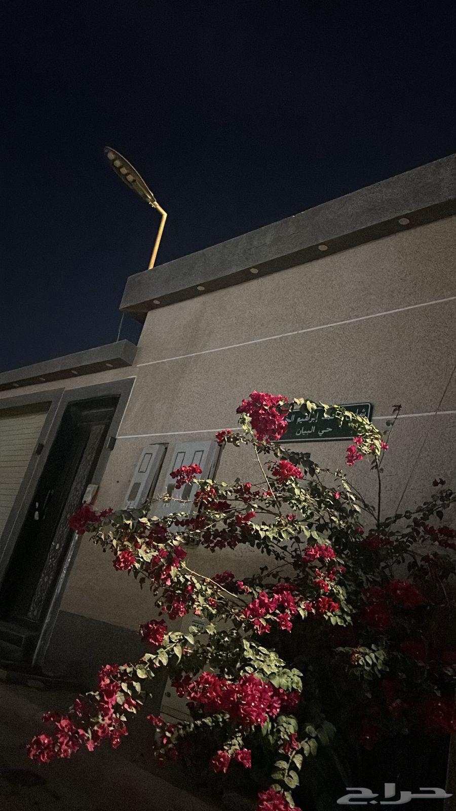 فيلا 16 غرف في البيان 13