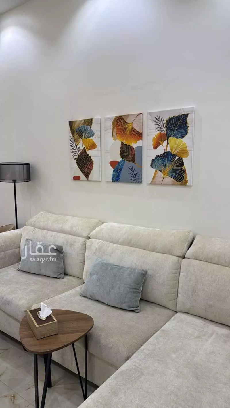 شقة 2 غرف في العقيق 13