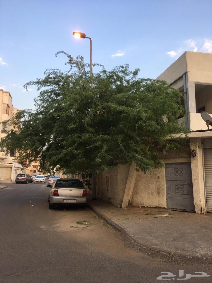 فيلا 8 غرف في النزهة 2