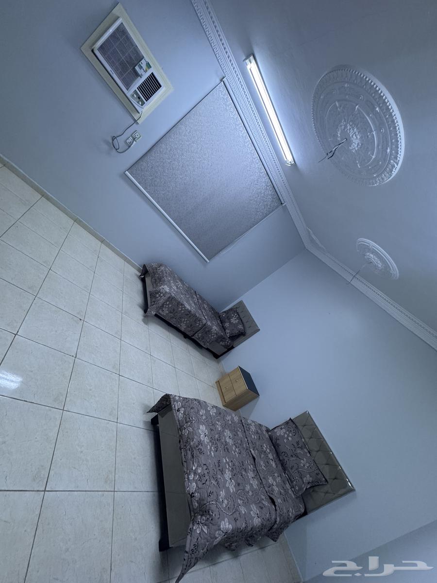 شقة 2 غرف في النخيل 8