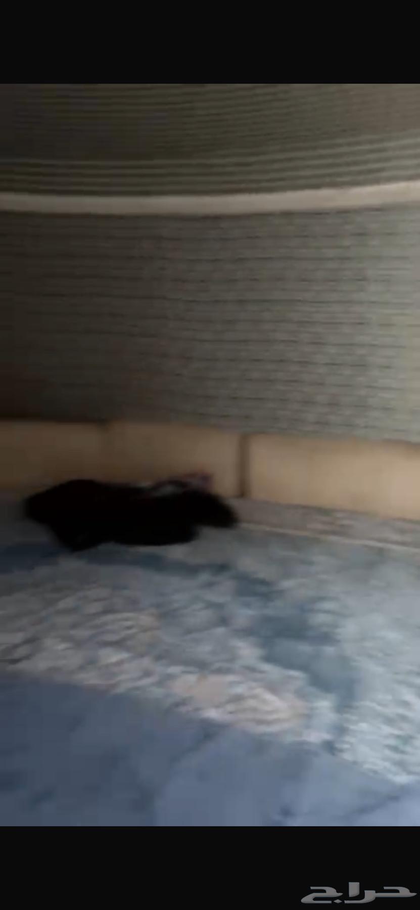 شقة 3 غرف في العزيزية 6