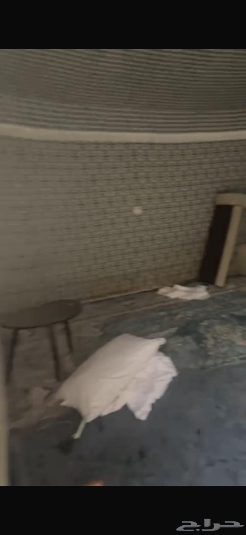 شقة 3 غرف في العزيزية 7