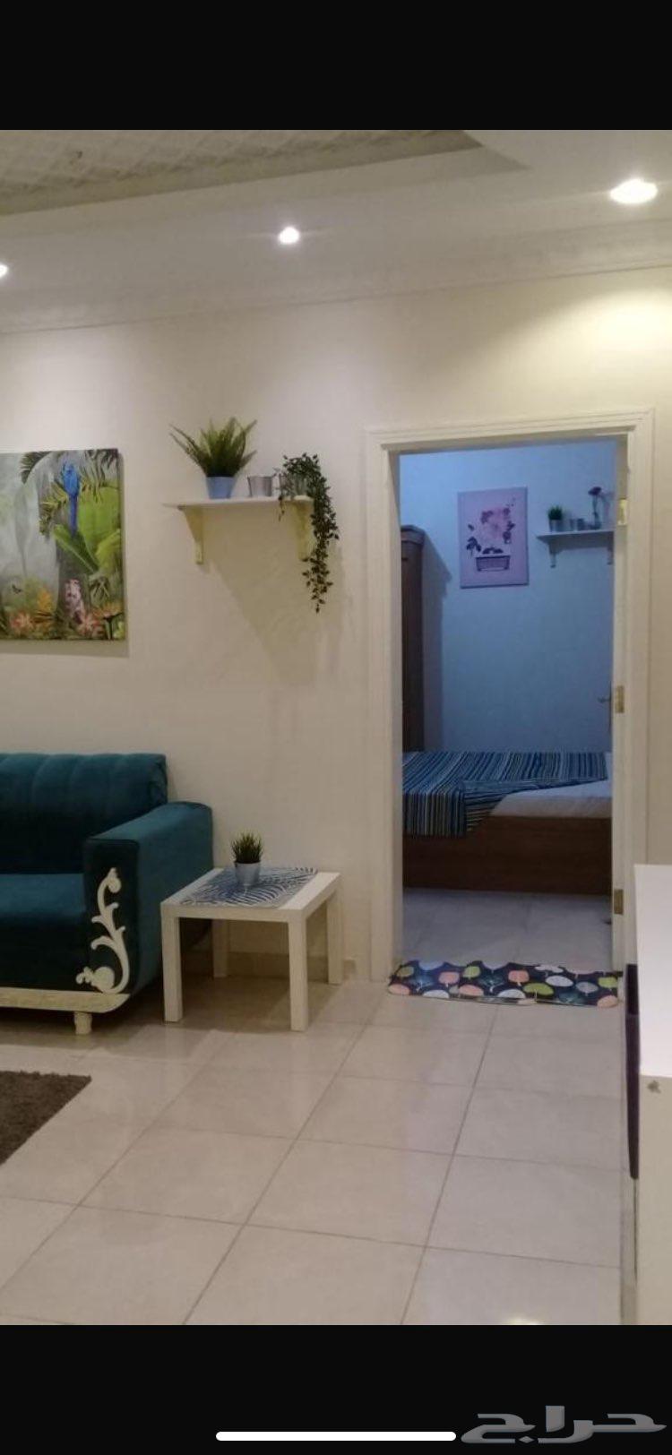 شقة 5 غرف في الواحة 4