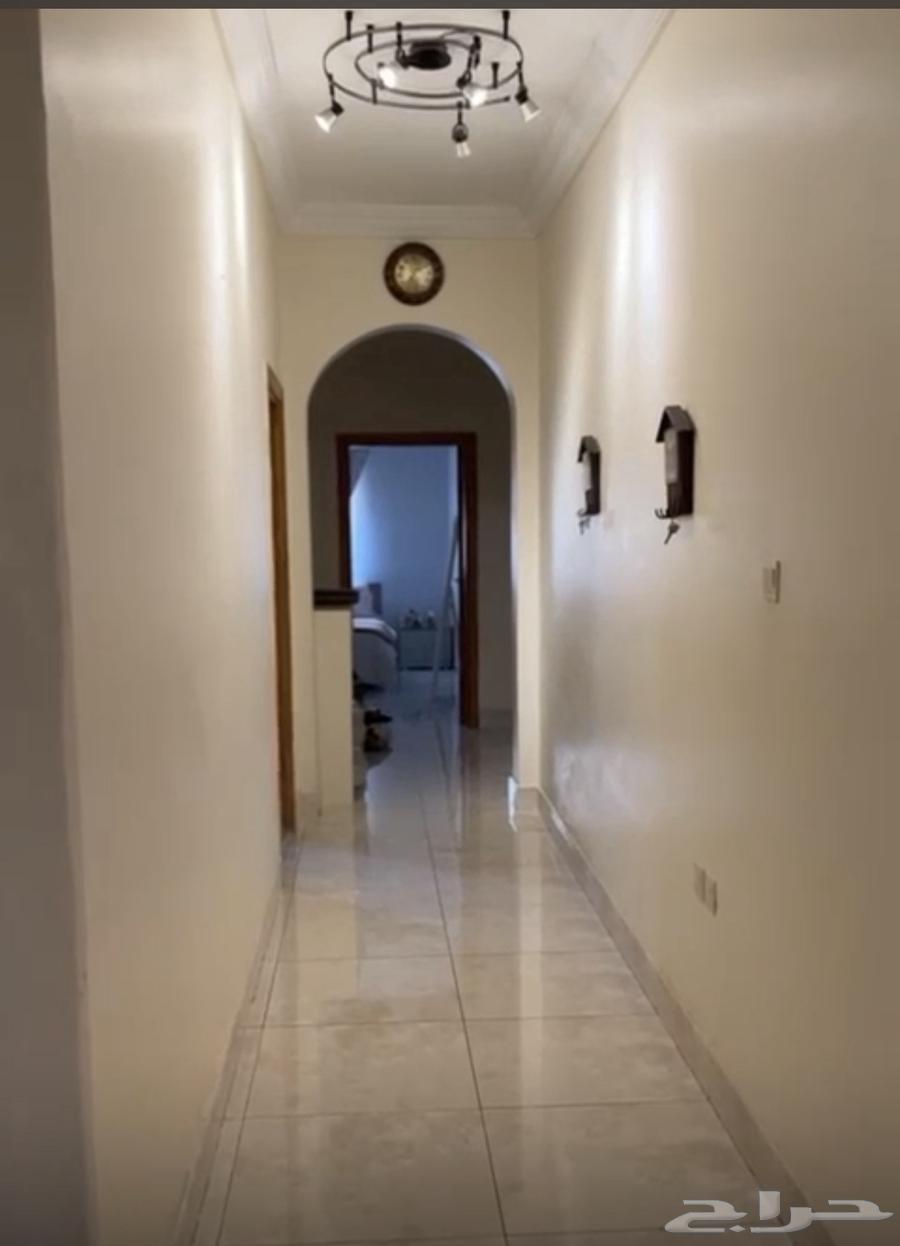 شقة 5 غرف في الزهراء 5