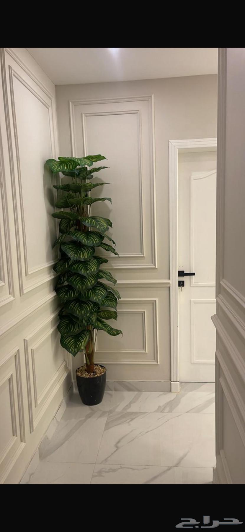 شقة 5 غرف في ضاحية الملك فهد 3