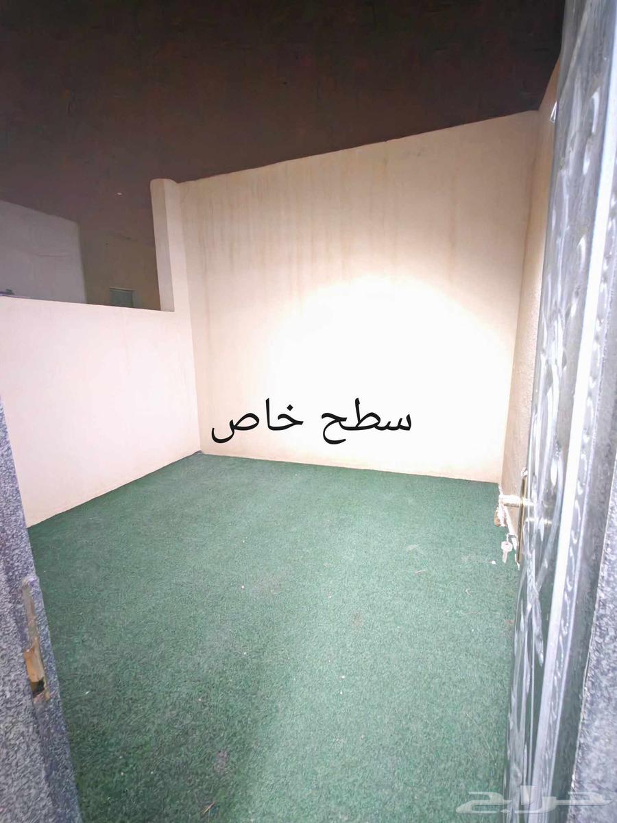 شقة 3 غرف في الرمال 8