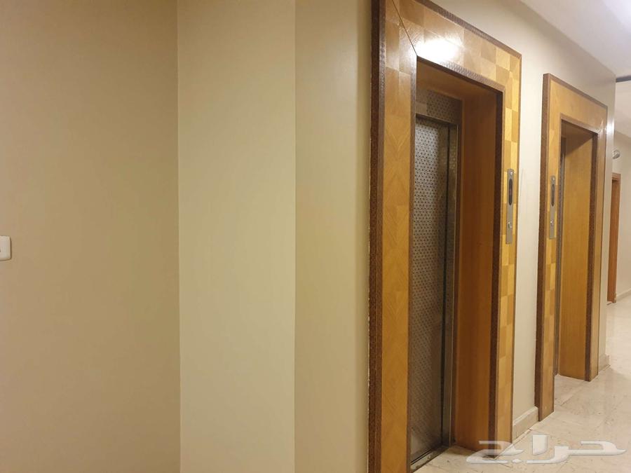 شقة 2 غرف في النعيم 5