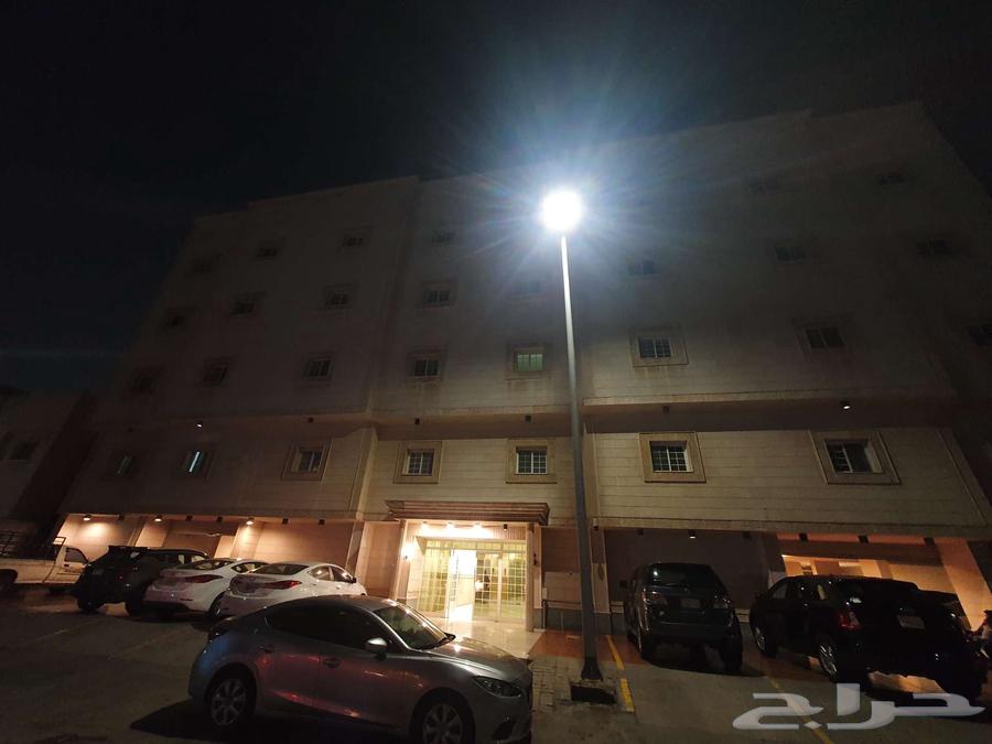 شقة 2 غرف في النعيم 9