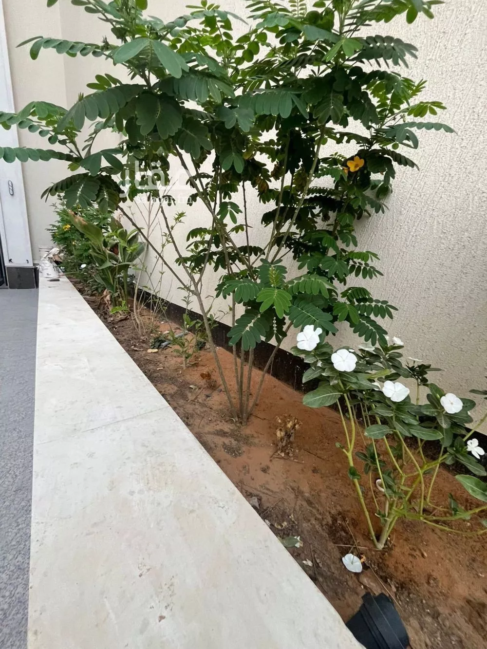 شقة 4 غرف في المهدية 4