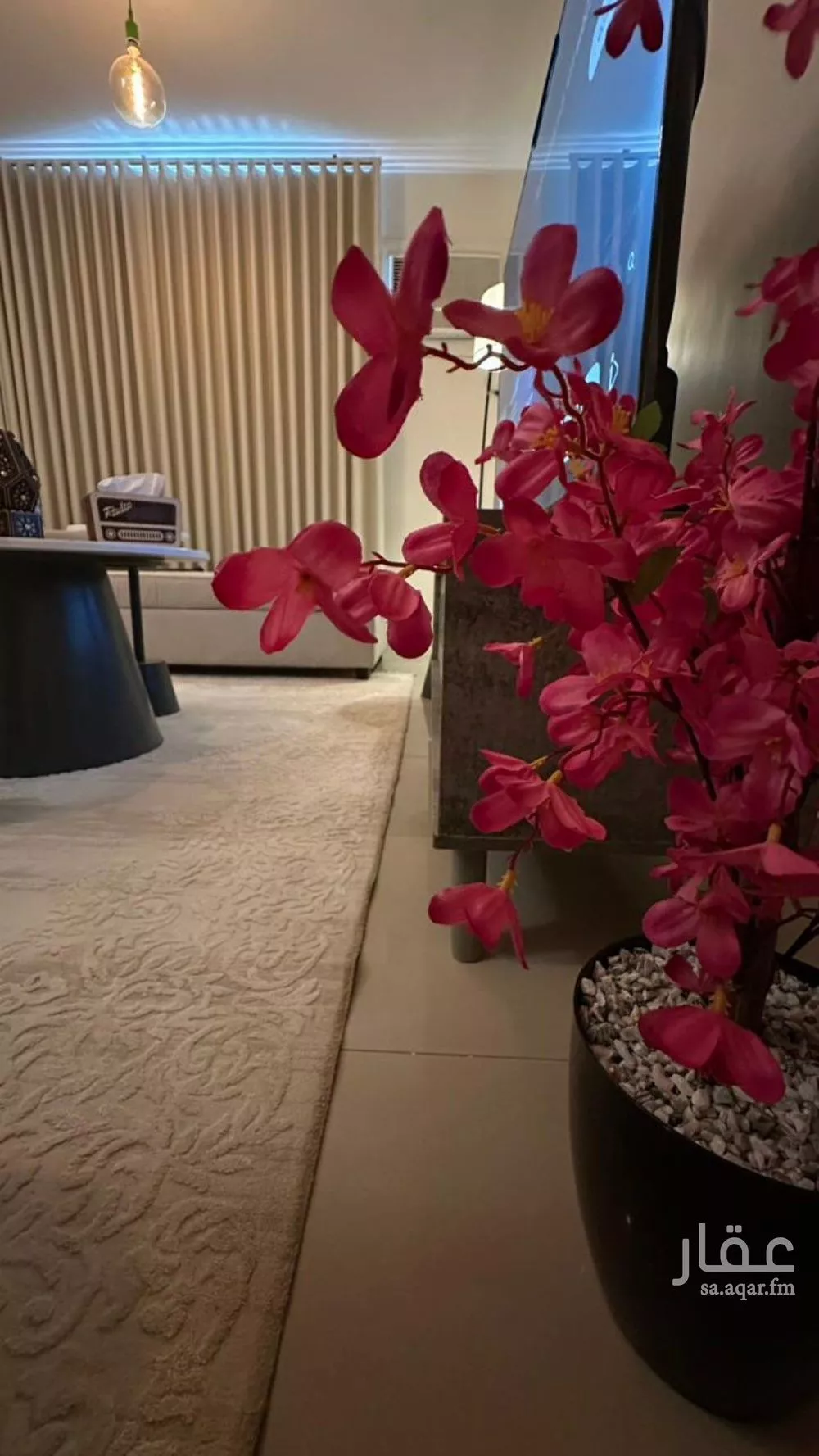 شقة 1 غرف في بدر 15