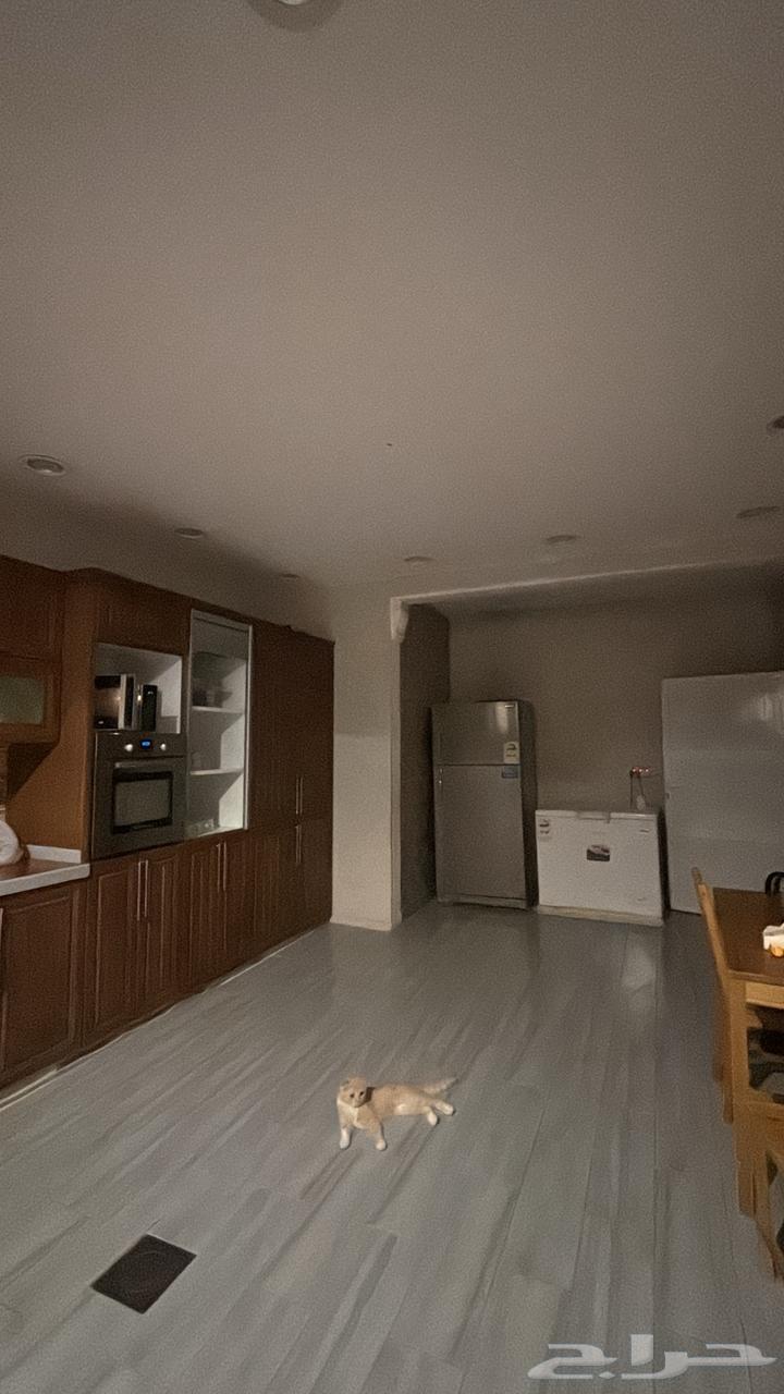 8 bedroom villa in Ishbiliyah 13