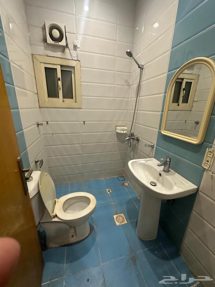 شقة 3 غرف في المنتزة 2