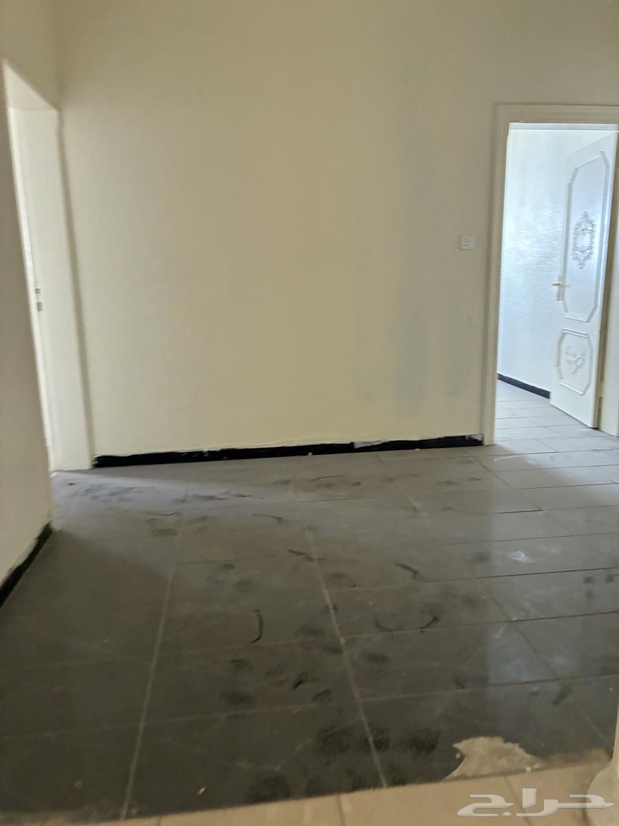 شقة 2 غرف في الربوة 11