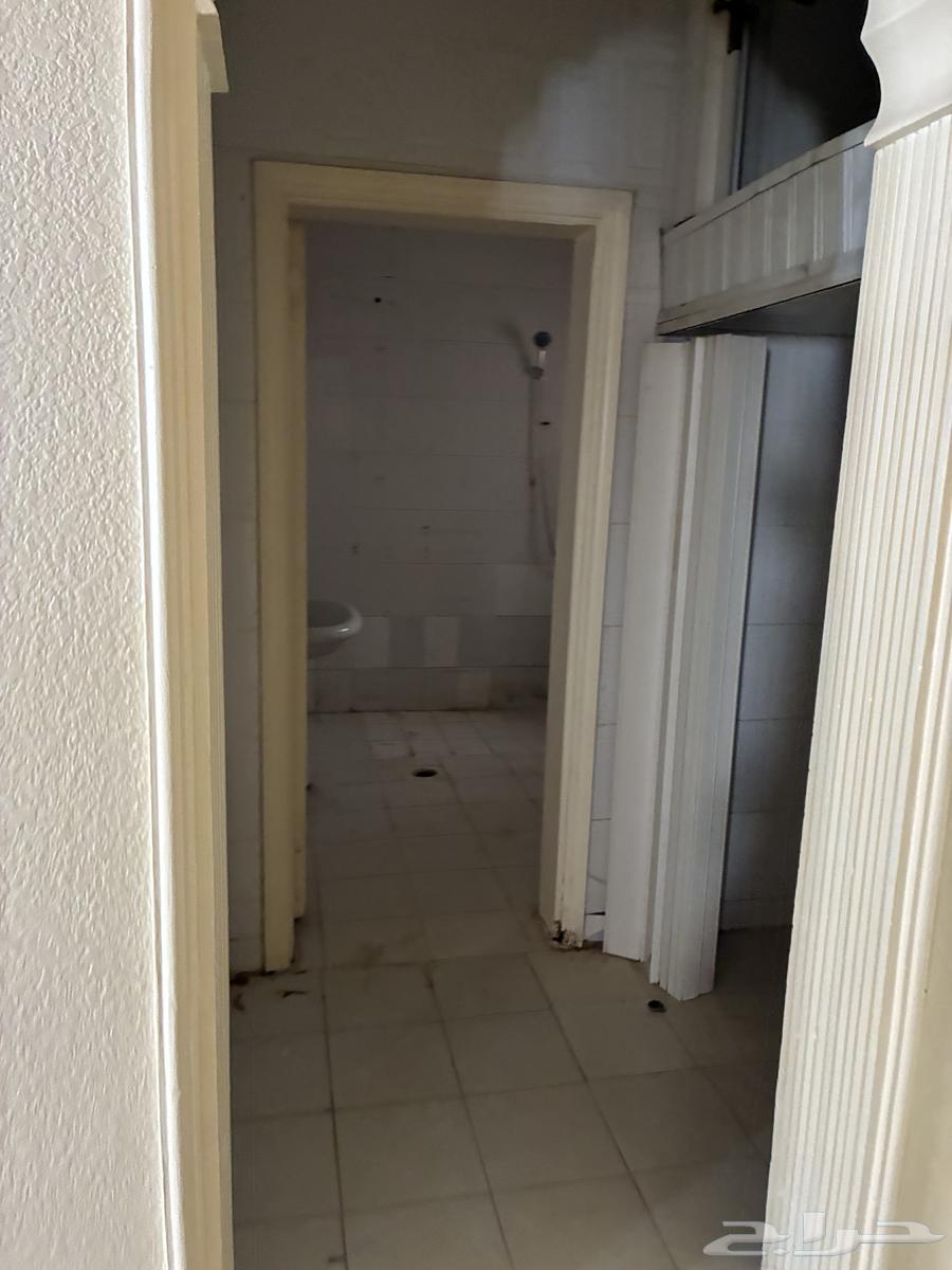 شقة 2 غرف في الربوة 12