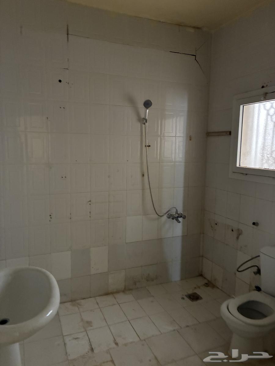 شقة 2 غرف في الربوة 14