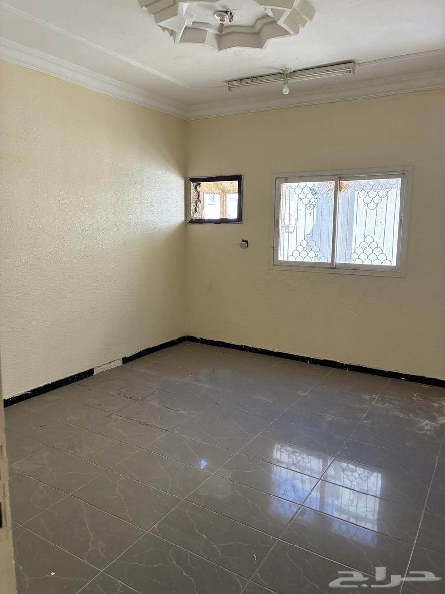 شقة 2 غرف في الربوة 15