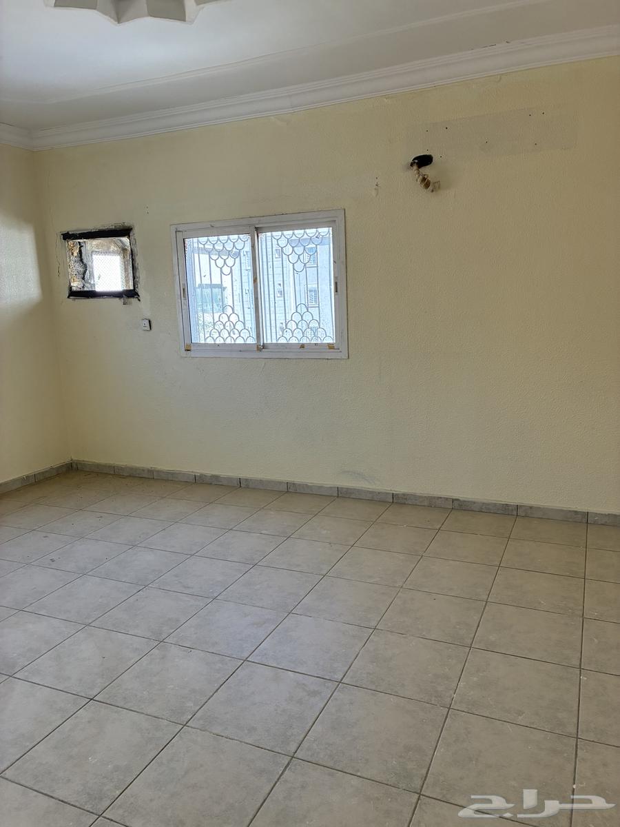 شقة 2 غرف في الربوة 18