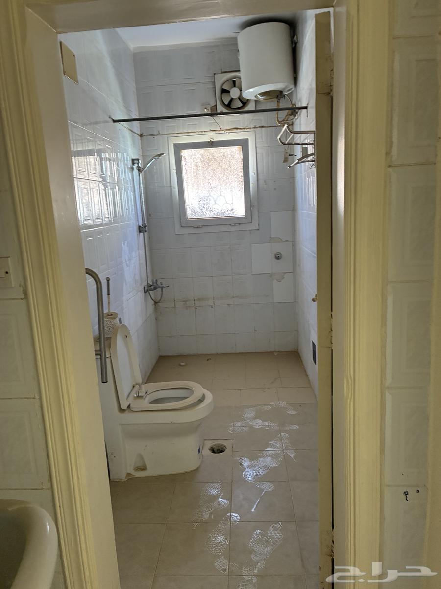 شقة 2 غرف في الربوة 19