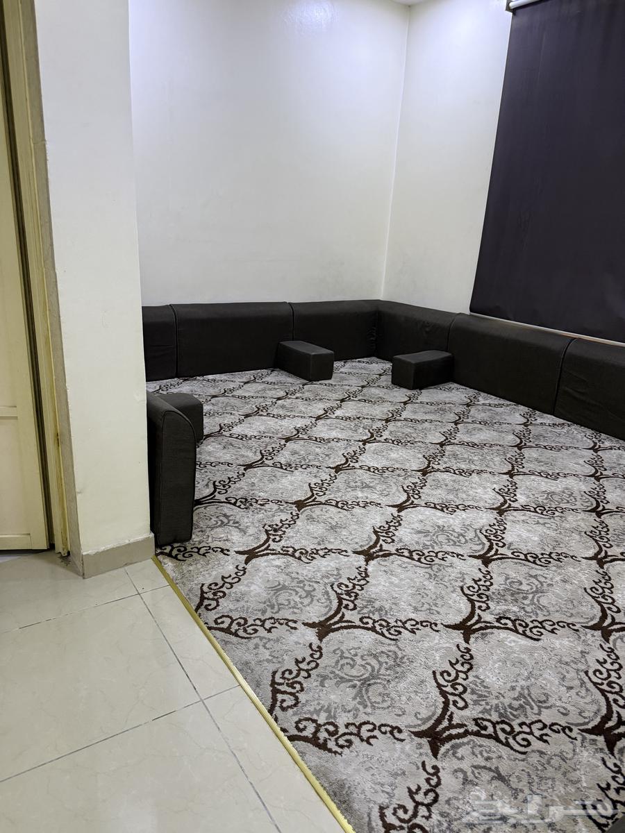 شقة 26 غرف في طيبة 7