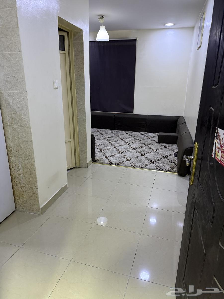 شقة 26 غرف في طيبة 8