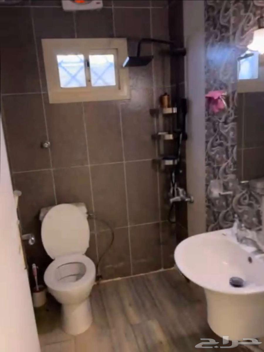 شقة 3 غرف في النعيم 9