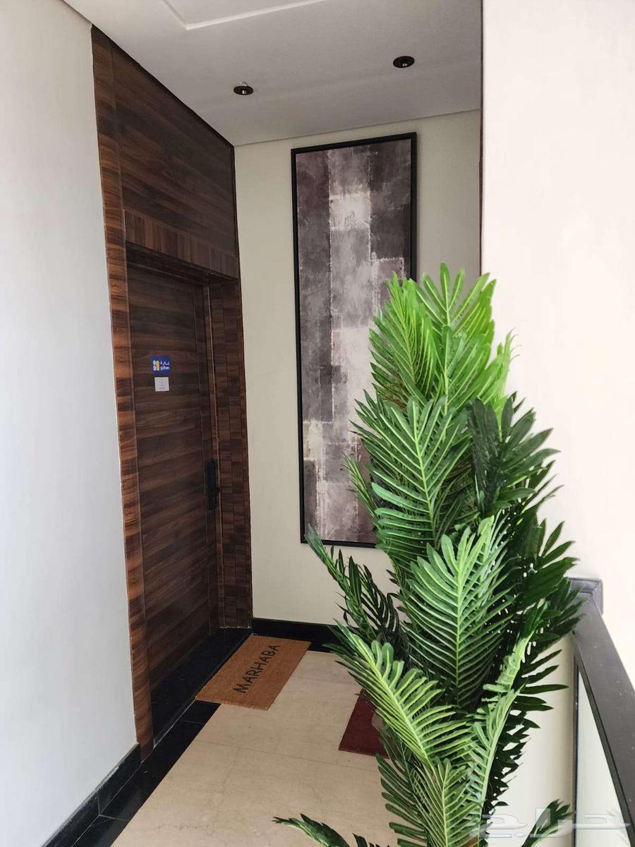 شقة 14 غرف في السقيا 18