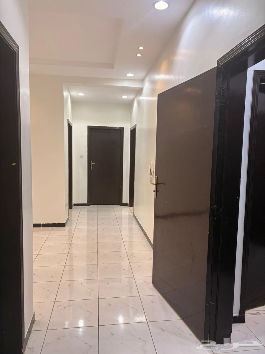 شقة 2 غرف في الرمال 4